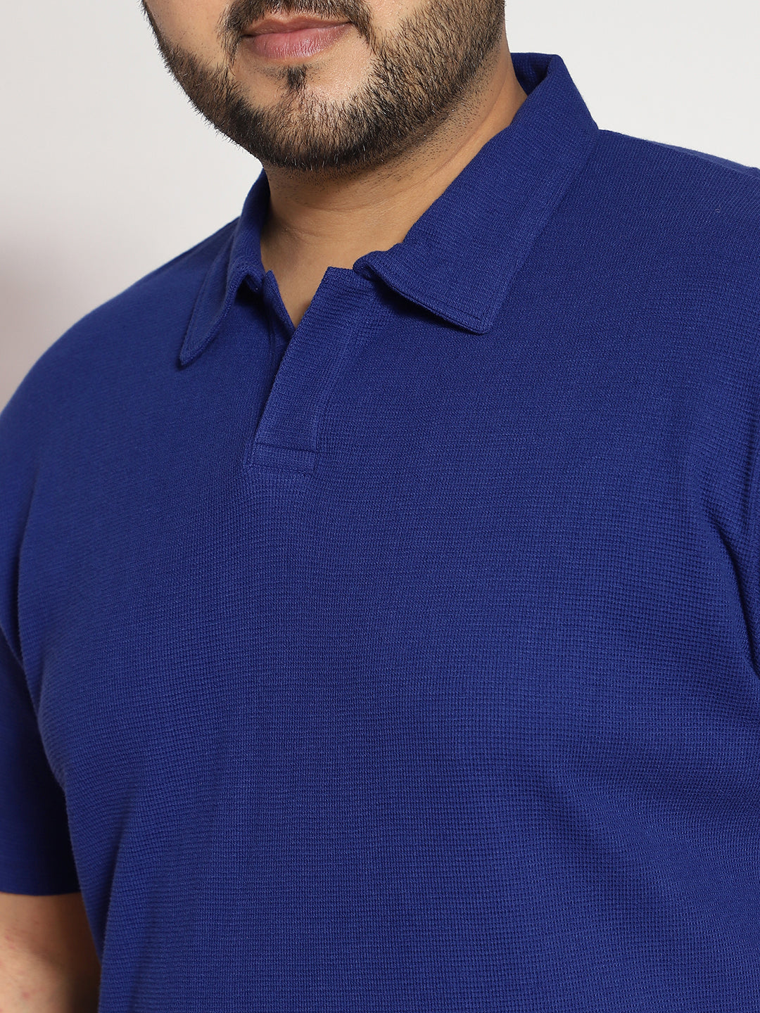 Plus Men's Blue Textured Regular Fit Half Sleeve Cotton Polo T-Shirt