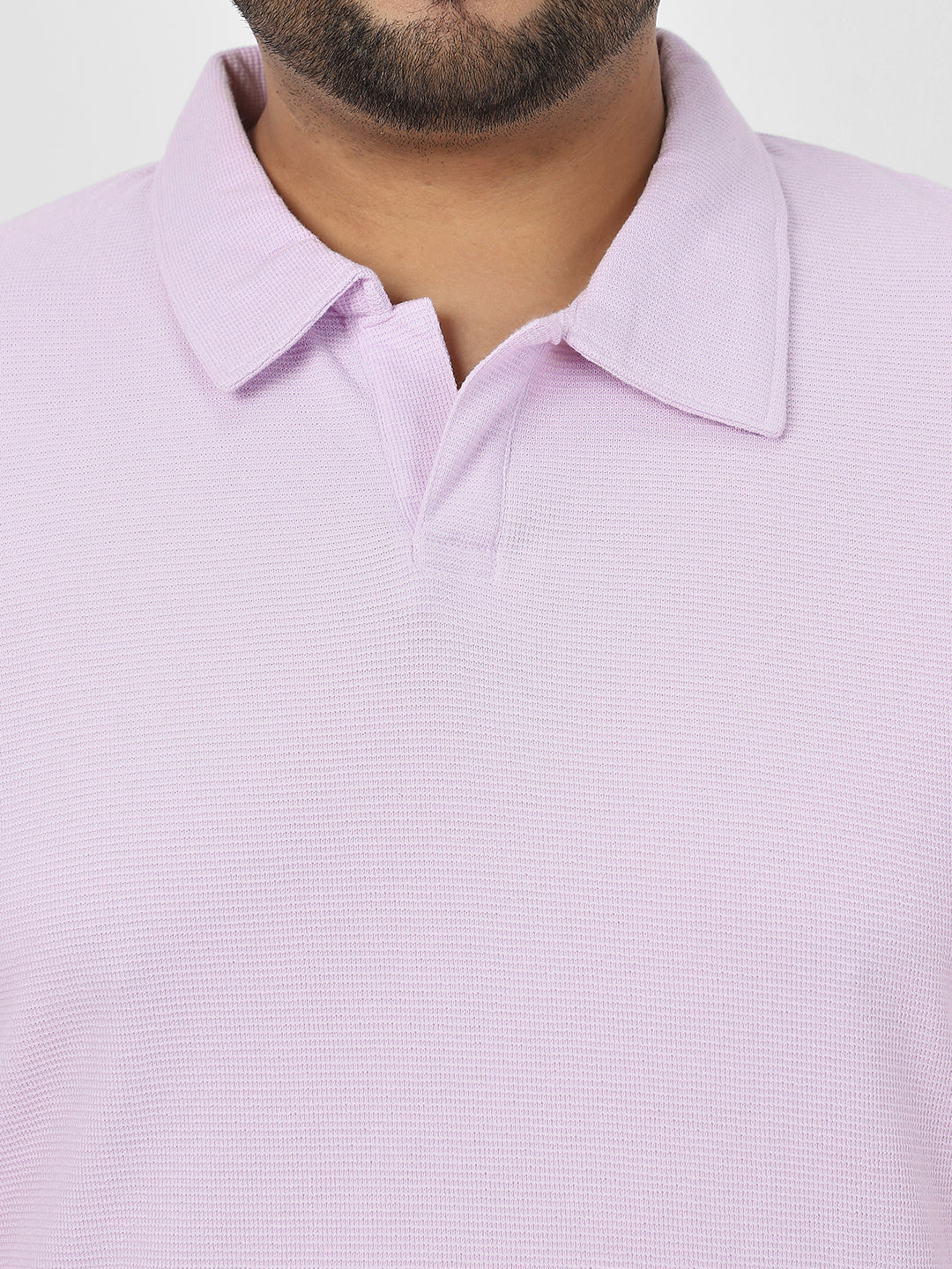 Plus Men's Lilac Textured Regular Fit Half Sleeve Cotton Polo T-Shirt