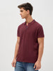 Men's Maroon Solid Regular Fit Half Sleeve Cotton Polo T-Shirt